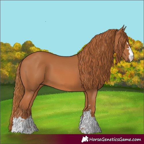 Horse Color:Chestnut 