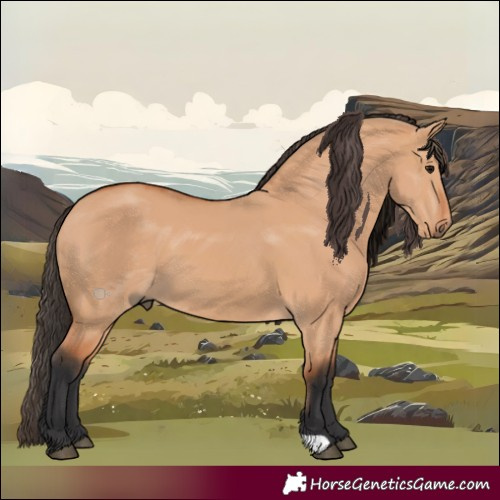 Horse Color:Bay Dun 