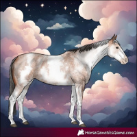 Horse Color:White Spotted Bay Roan 