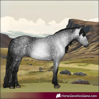 Horse Color:Gray Black 