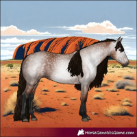 Horse Color:Gray Bay