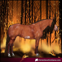Horse Color:Bay and Bay Frame