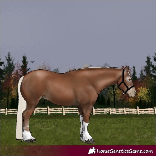 Horse Color:Gray Silver Black Pearl Tobiano 