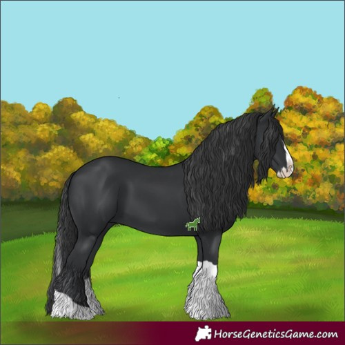Horse Color:Black Splash Tobiano