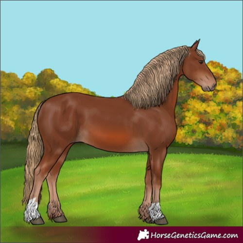 Horse Color:Chestnut 