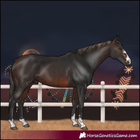 Horse Color:Liver Chestnut  and Brown 