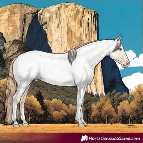Horse Color:Gold Champagne Roan Dun Splash Tobiano Frame Near Leopard Rabicano 