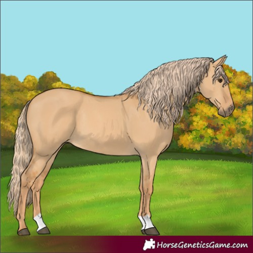 Horse Color:Red Dun 