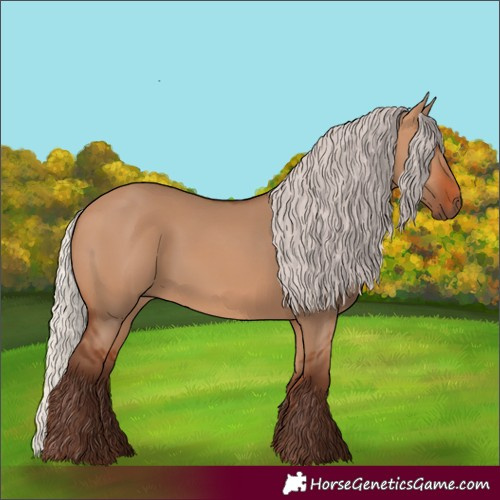 Horse Color:Silver Bay Dun 
