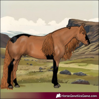 Horse Color:Void Chestnut Tobiano