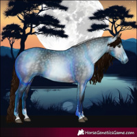 Horse Color:Gray Bay