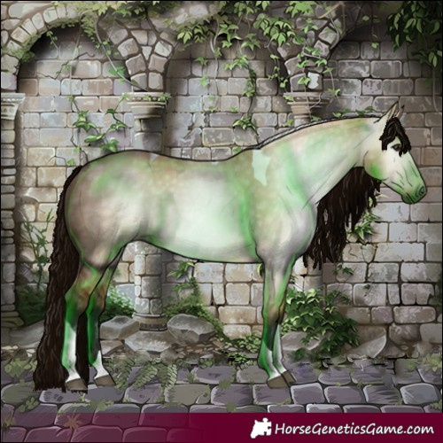 Horse Color:Gray Bay Dun Tobiano