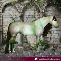 Horse Color:Gray Bay Dun Tobiano 