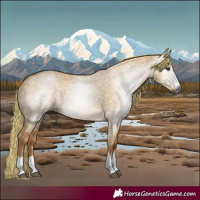 Horse Color:Gray Red Dun
