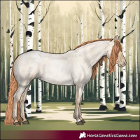Horse Color:Bay Roan Snowdrop Pearl
