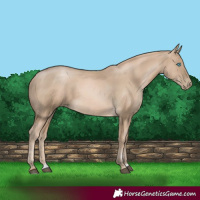 Horse Color:Liver Chestnut Snowdrop Pearl