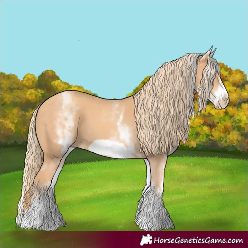 Horse Color:White Spotted Gold Champagne Frame