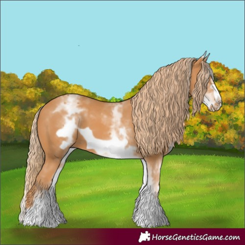 Horse Color:White Spotted Chestnut Frame 