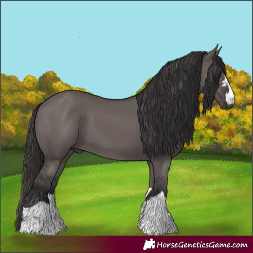 Horse Color:Smoky Grullo 