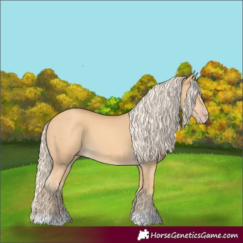 Horse Color:Gold Cream Champagne 