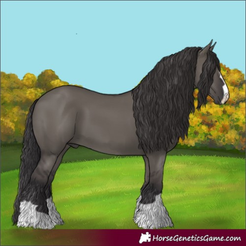 Horse Color:Smoky Grullo 