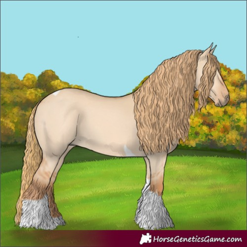 Horse Color:Red Dun Tobiano