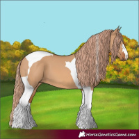 Horse Color:Red Dun Tobiano 