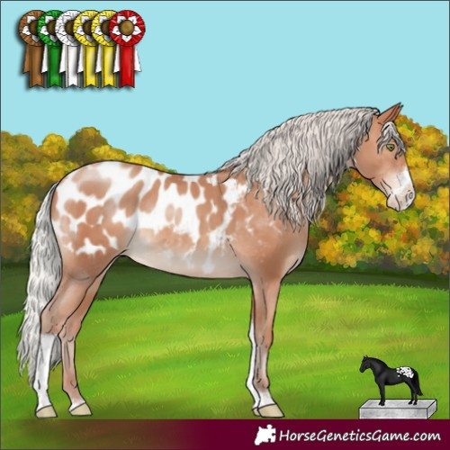 Horse Color:Silver Sable Champagne Sabino Tobiano Appaloosa 