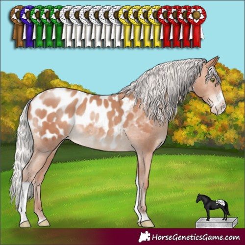 Horse Color:Silver Sable Champagne Sabino Tobiano Blanket
