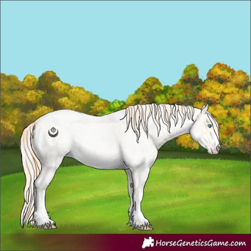 Horse Color:Buckskin Roan Pearl and Amber Cream Champagne Roan Pearl