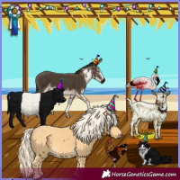 Horse Color:Palomino