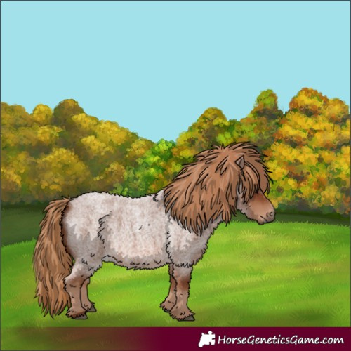 Horse Color:Red Roan 