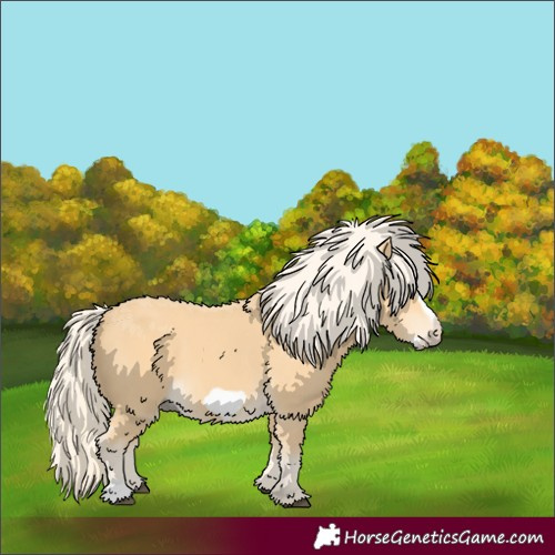 Horse Color:Palomino Frame 