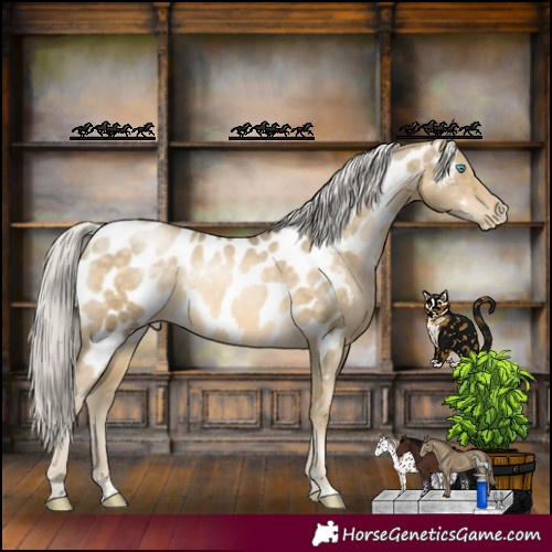 Horse Color:Silver Buckskin Pearl Appaloosa Rabicano 