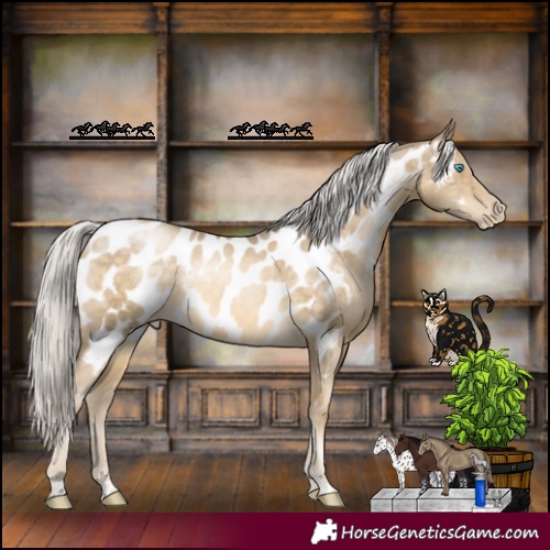 Horse Color:Silver Buckskin Pearl Appaloosa Rabicano 