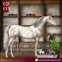 Horse Color:Silver Buckskin Pearl Appaloosa Rabicano 