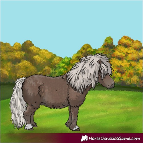 Horse Color:Silver Black 