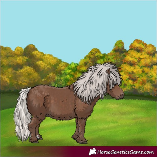 Horse Color:Silver Black