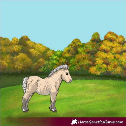 Horse Color:Silver Buckskin 