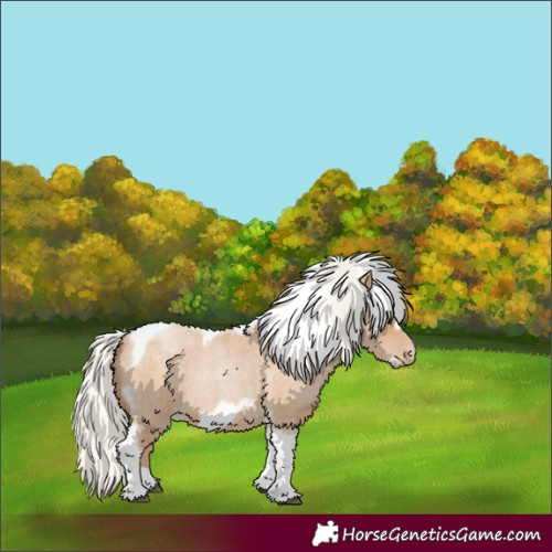 Horse Color:Silver Blue Roan Pearl Tobiano Frame