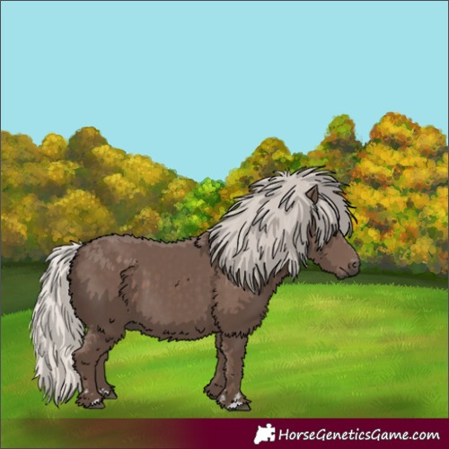 Horse Color:Silver Black 