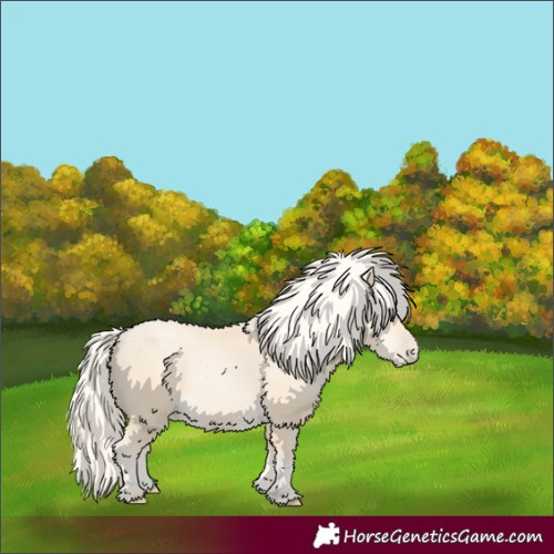 Horse Color:Palomino Pearl 