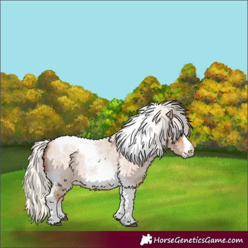 Horse Color:Silver Blue Roan Pearl Tobiano Frame 