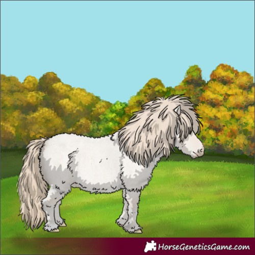Horse Color:Smoky Creme Roan Dun
