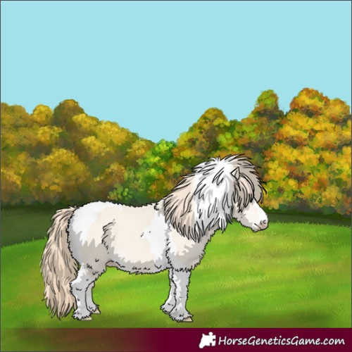 Horse Color:Perlino Dun Tobiano 