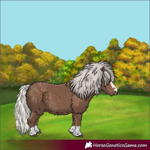 Horse Color:Silver Black 