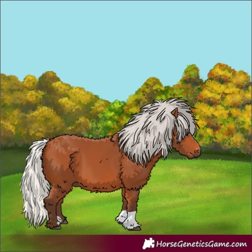 Horse Color:Silver Bay