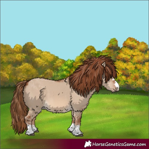 Horse Color:Red Dun 