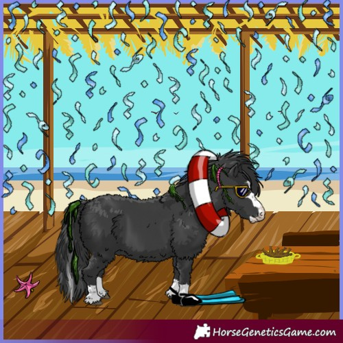 Horse Color:Black Splash
