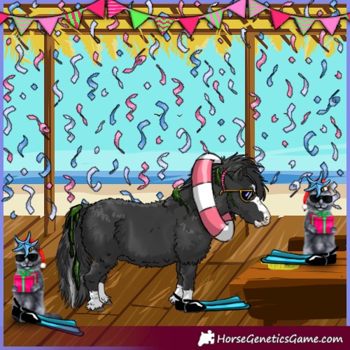 Horse Color:Black Splash 